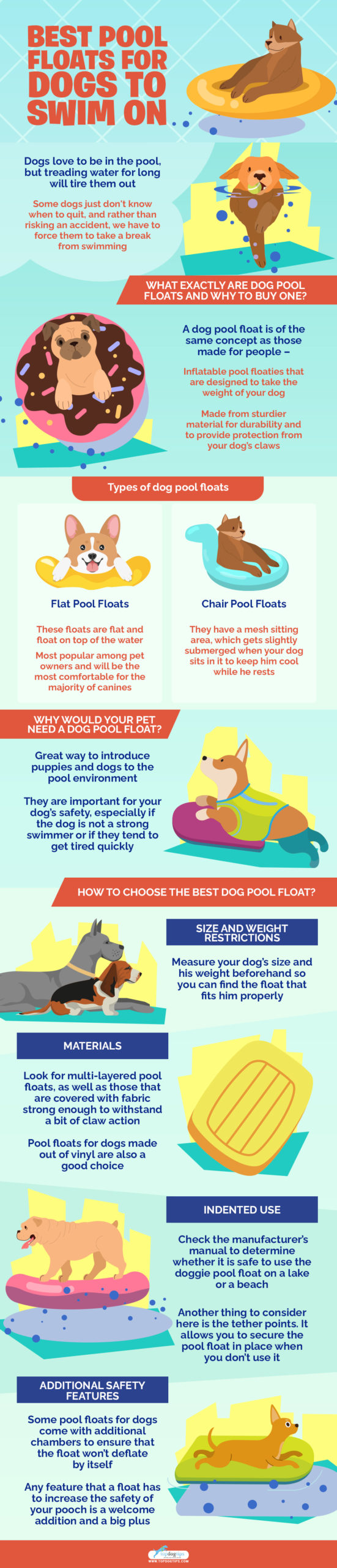 Top 5 Best Pool Floats for Dogs to Swim On