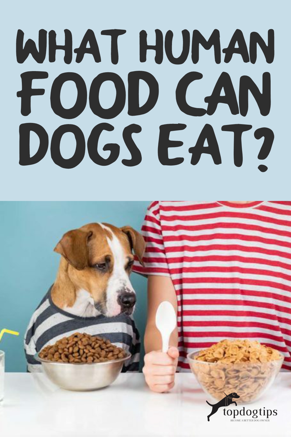 What Human Food Can Dogs Eat