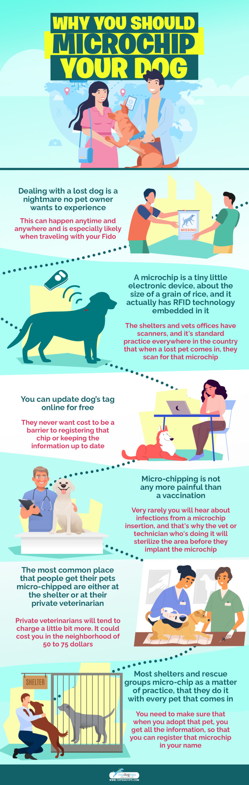 Why You Should Microchip Your Dog infographics