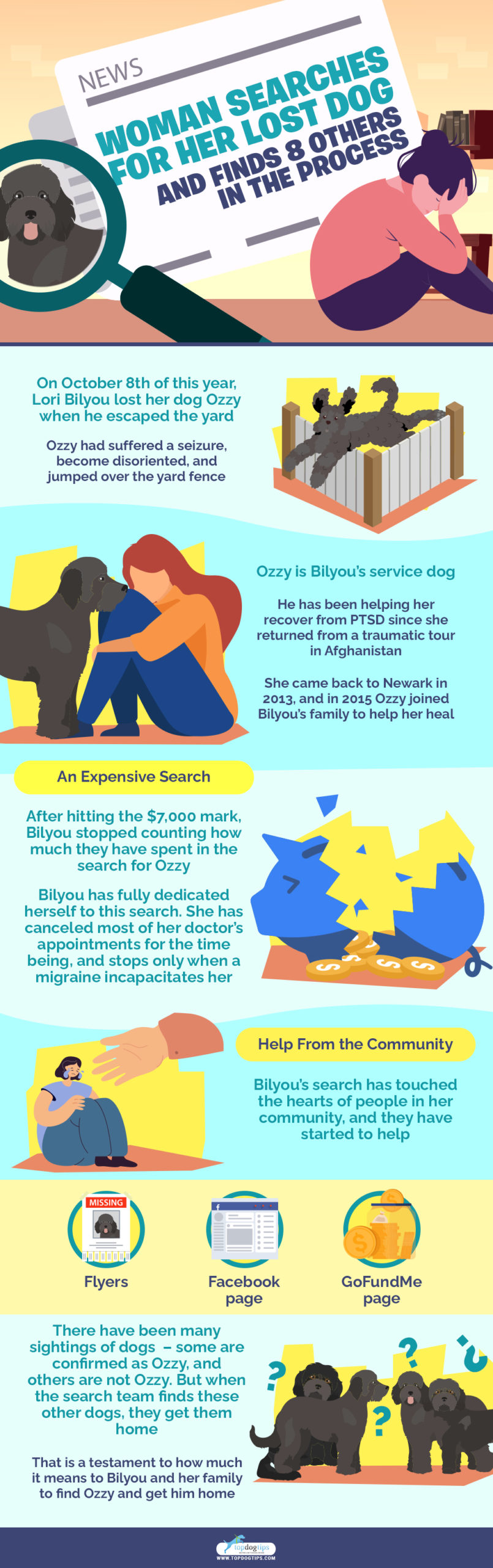 Woman Searches for Her Lost Dog and Finds 8 Others in the Process infographics