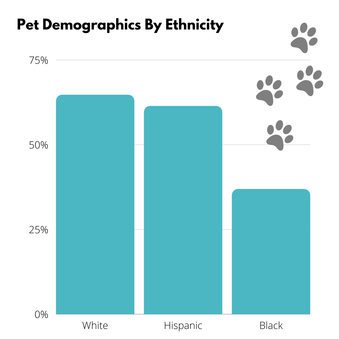 Pet Demographics By Ethnicity