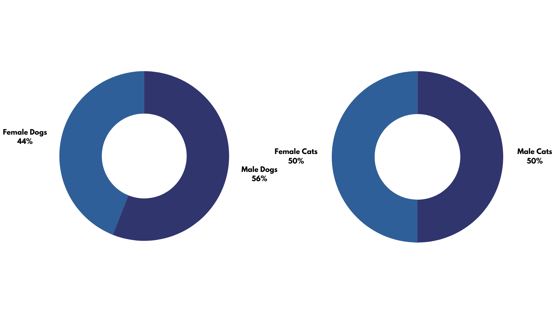 Pet Infographic Male vs Female