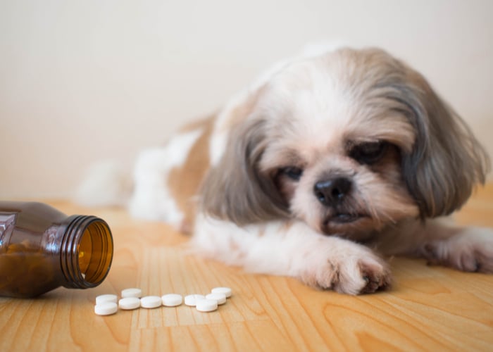 Pros and Cons Dog Supplements with Dog not taking tablets