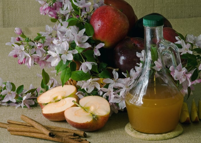 Natural Diuretic for Dogs: Apple Cider