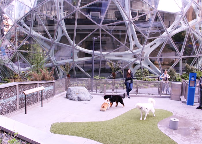 Amazon company with a dog-friendly environment