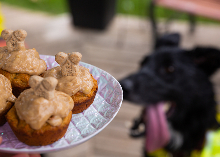 Carrot Peanut Butter Pupcakes