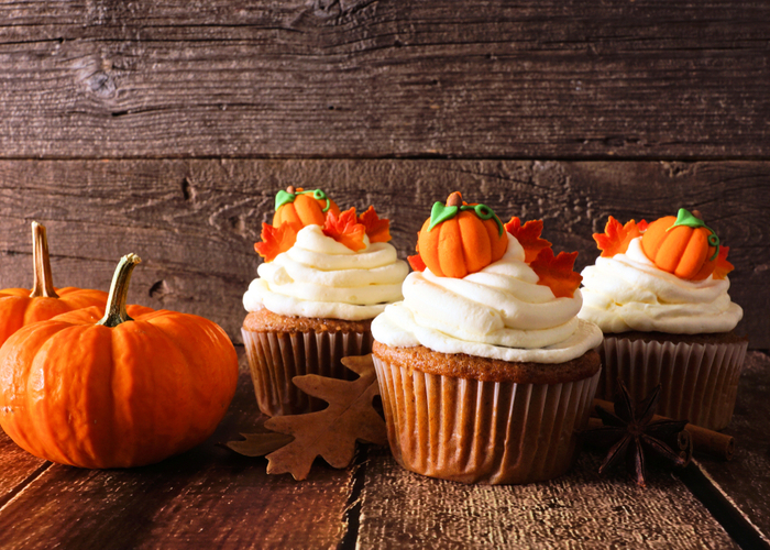 Frosted Pumpkin Homemade Puppy Treats