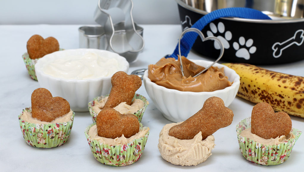 Homemade Treats for Your Puppy