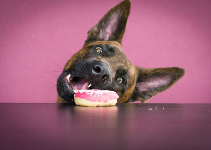 Peanut Butter Bacon Treats