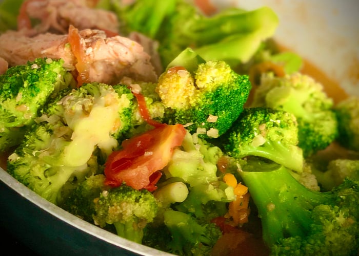 Salmon and Brocolli Dog Food