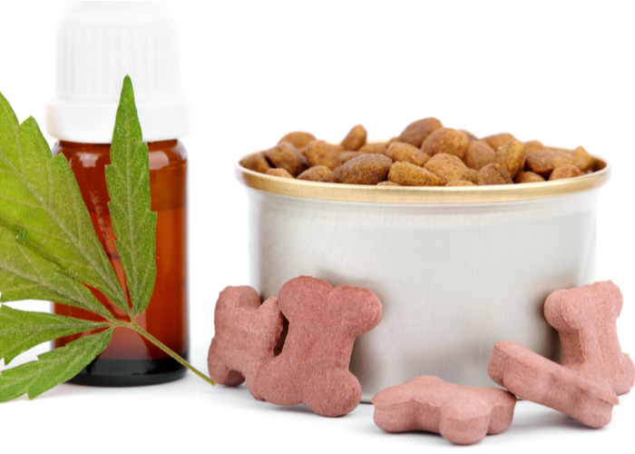 Types of Cannabidiol for Dogs