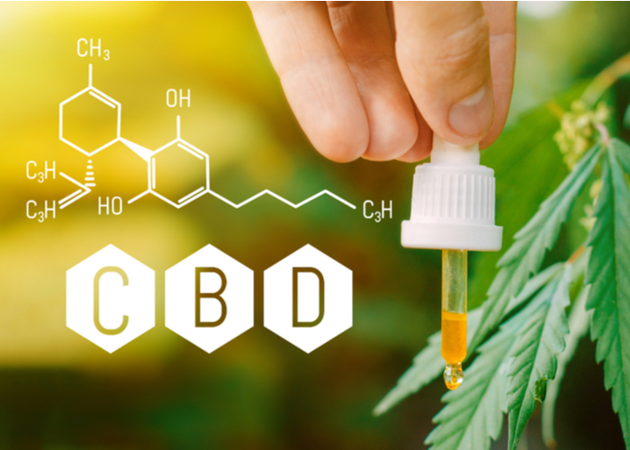 can vet legally recommend CBD oil?