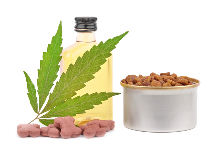 CBD oil for pets for their food supplements