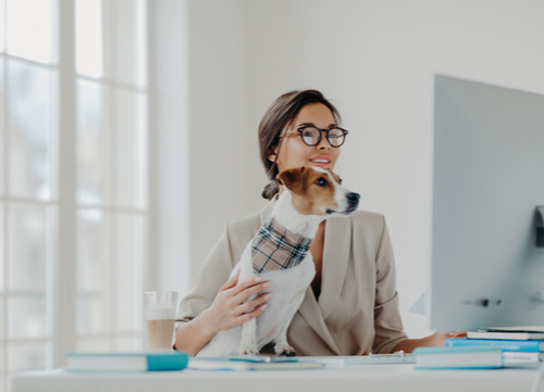 person with dog at office