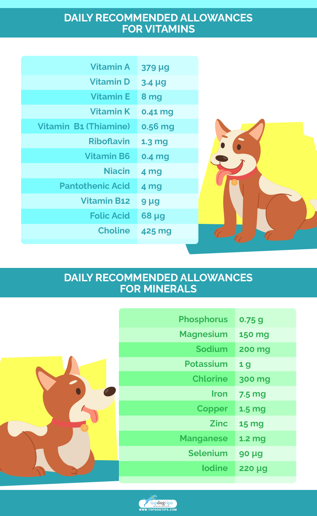 DAILY RECOMMENDED ALLOWANCES FOR VITAMINS