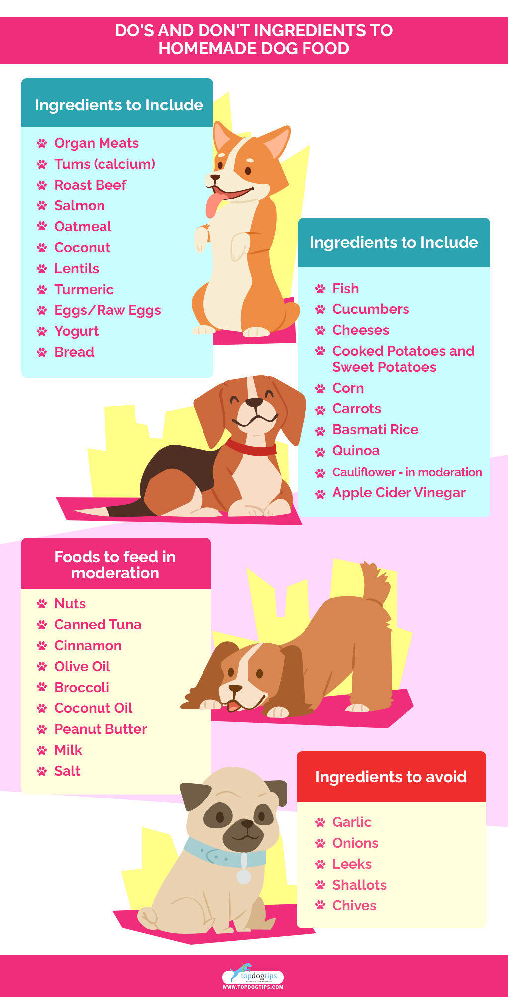 Do's and Don't Ingredients to Homemade Dog Food