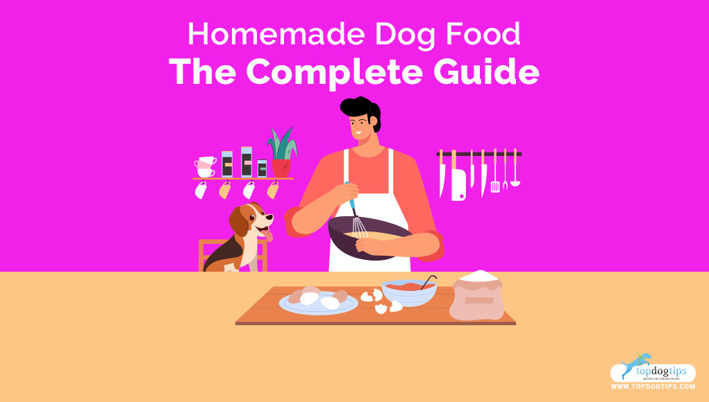 Homemade Dog Food The Complete Guide