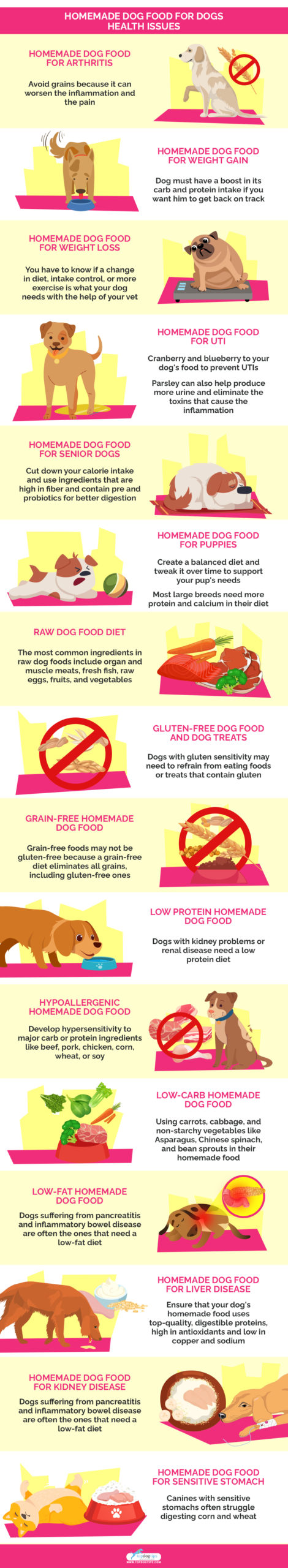 Homemade Dog Food for Dogs Health Issues 