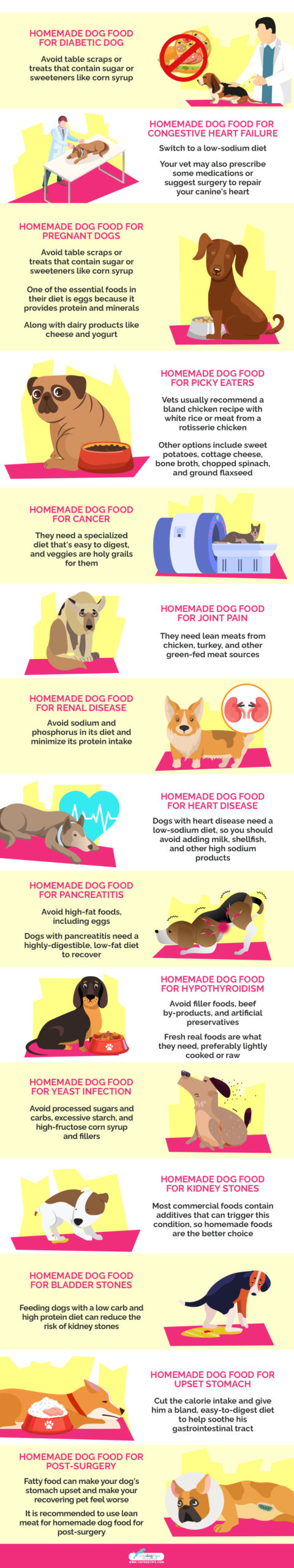 Homemade Dog Food for Dogs Health Issues