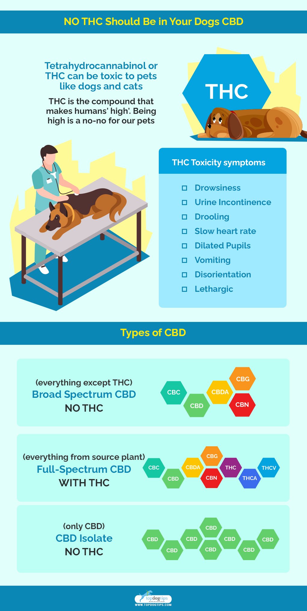 NO THC for Dogs CBD