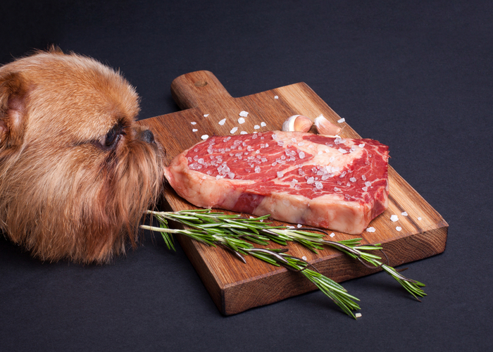 Tips on Cooking Beef for Dogs