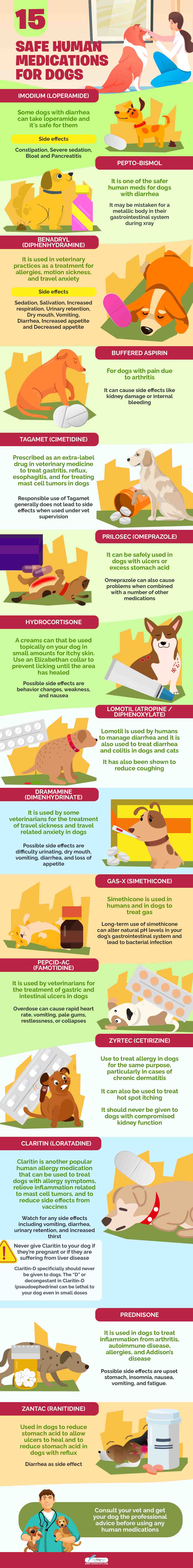  Safe Human Medications for Dogs