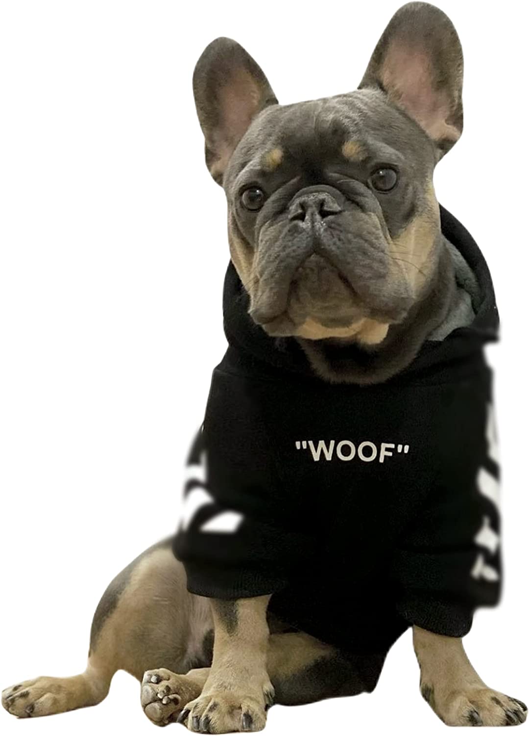 ChoChoCho Stylish Dog Hoodie