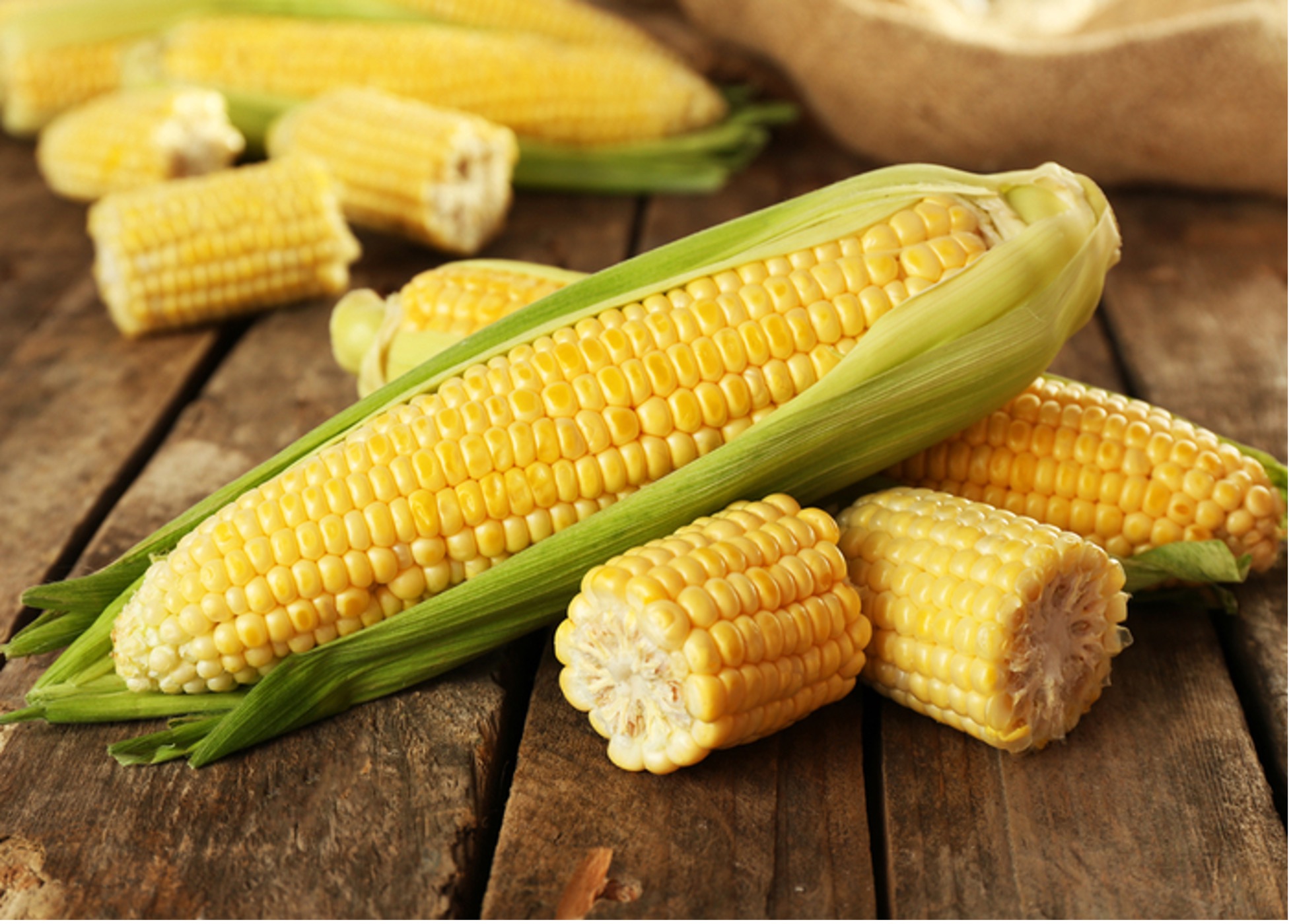 corn for dogs