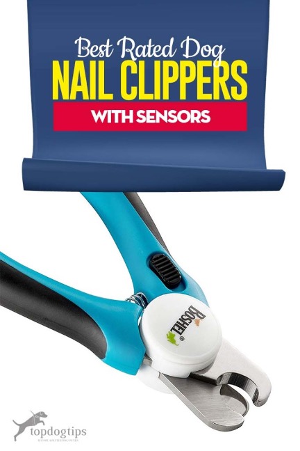 best dog nail clippers with sensor