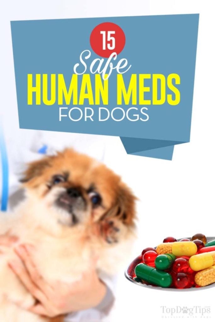 medications safe for dogs pin