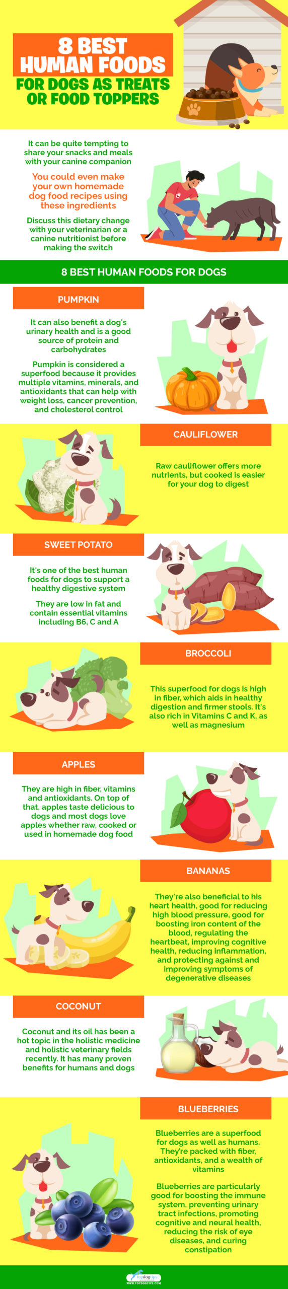 Human Foods for Dogs 