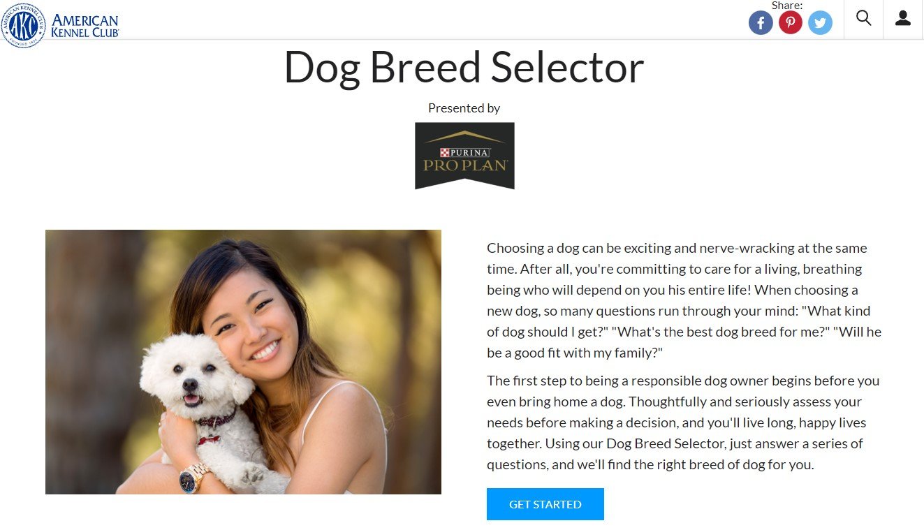 AKC Dog Breed Selector