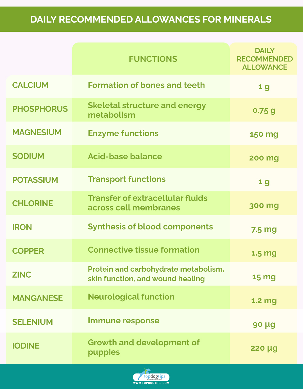 A Dog's Daily Recommended Allowances for Minerals