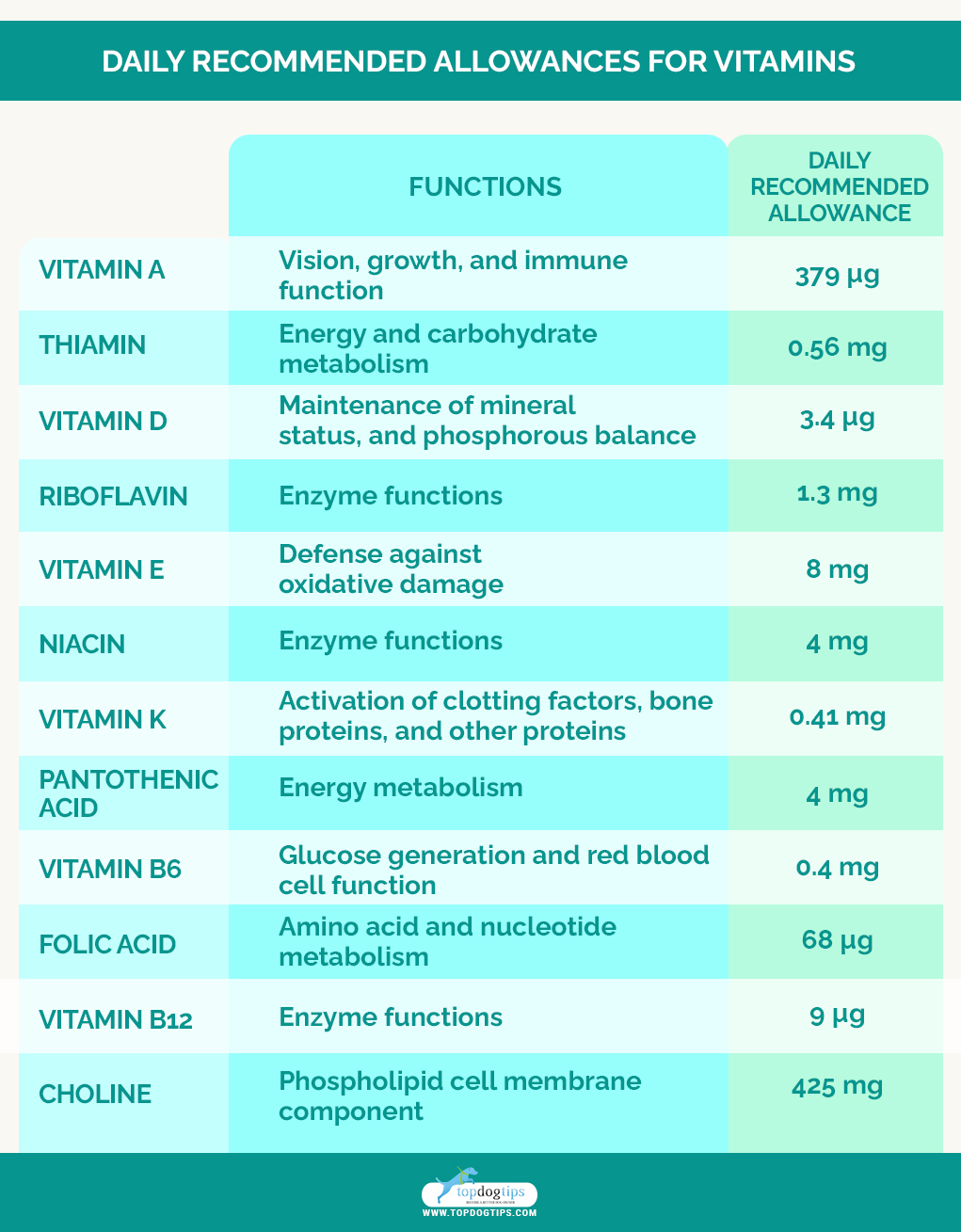 Dog's Daily Recommended Allowances for Vitamins