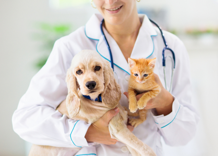 Pet Nutritionist