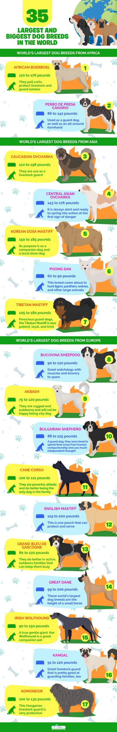 Worlds Largest Dog Breeds 