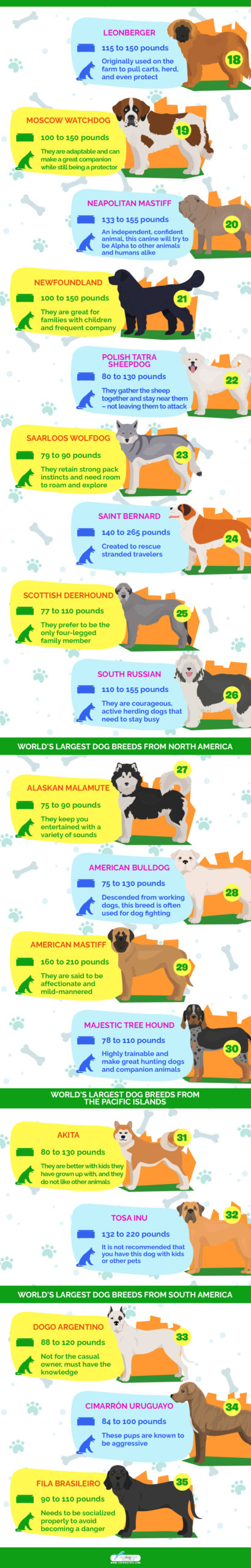 Worlds Largest Dog Breeds 