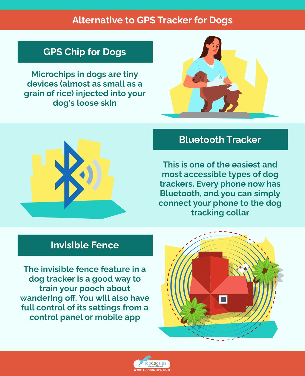 Alternative to GPS Tracker for Dogs