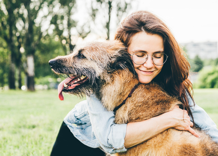 pet returning home after missing