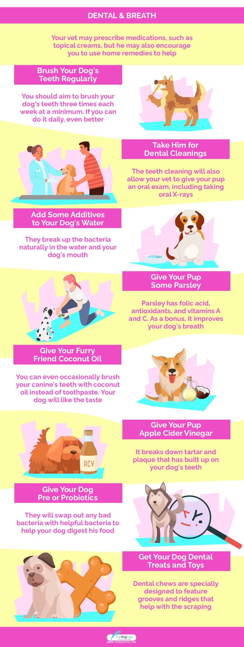 home remedies for dog Dental & Breath