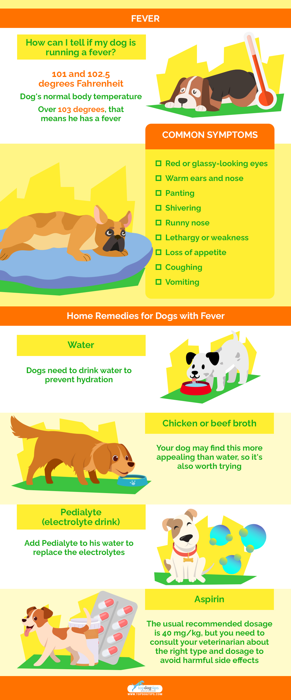 home remedies for dog Fever