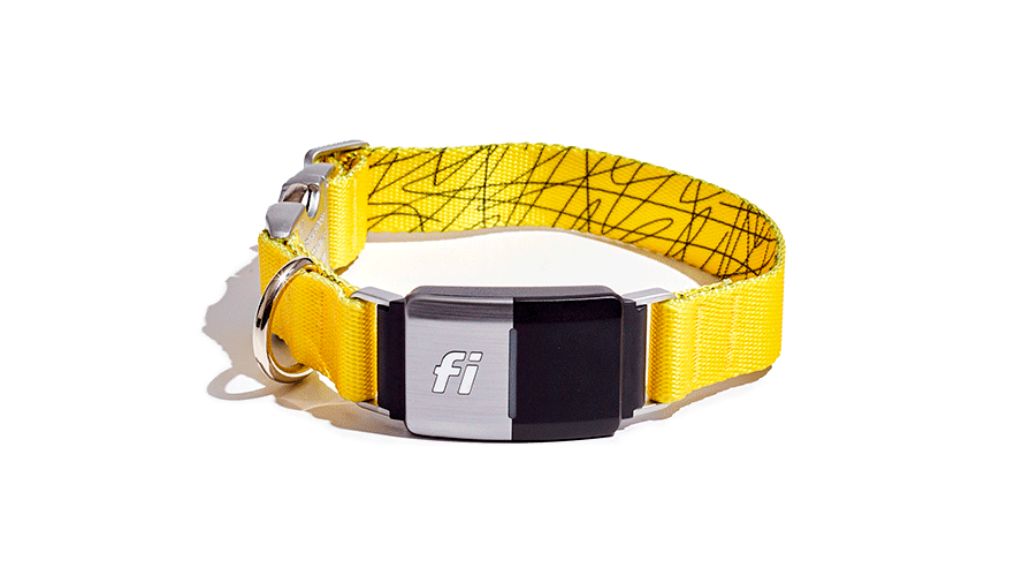 Fi Smart Dog Collar