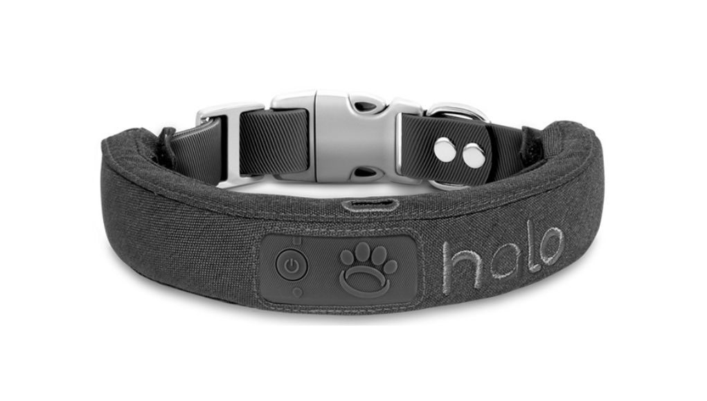 Halo Dog Collar best GPS dog tracker