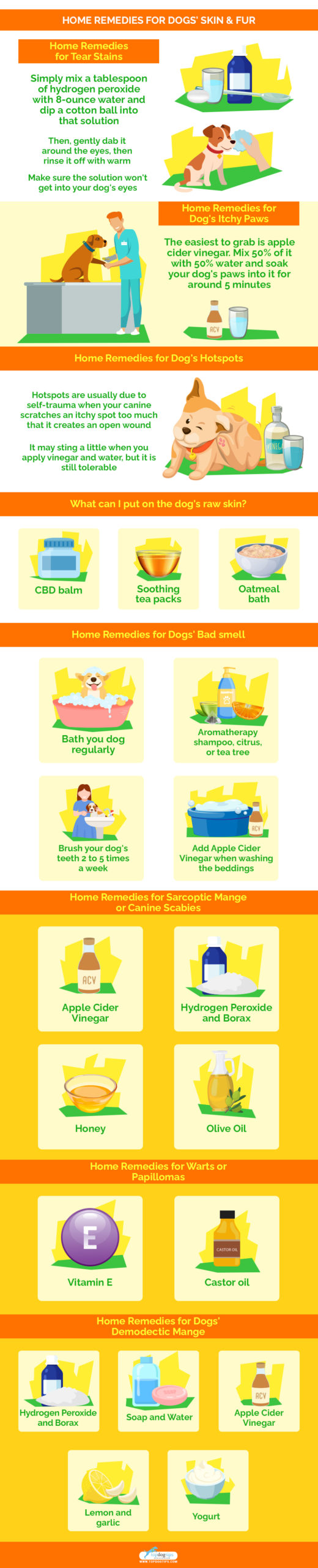 Home Remedies for Dogs' Skin & Fur