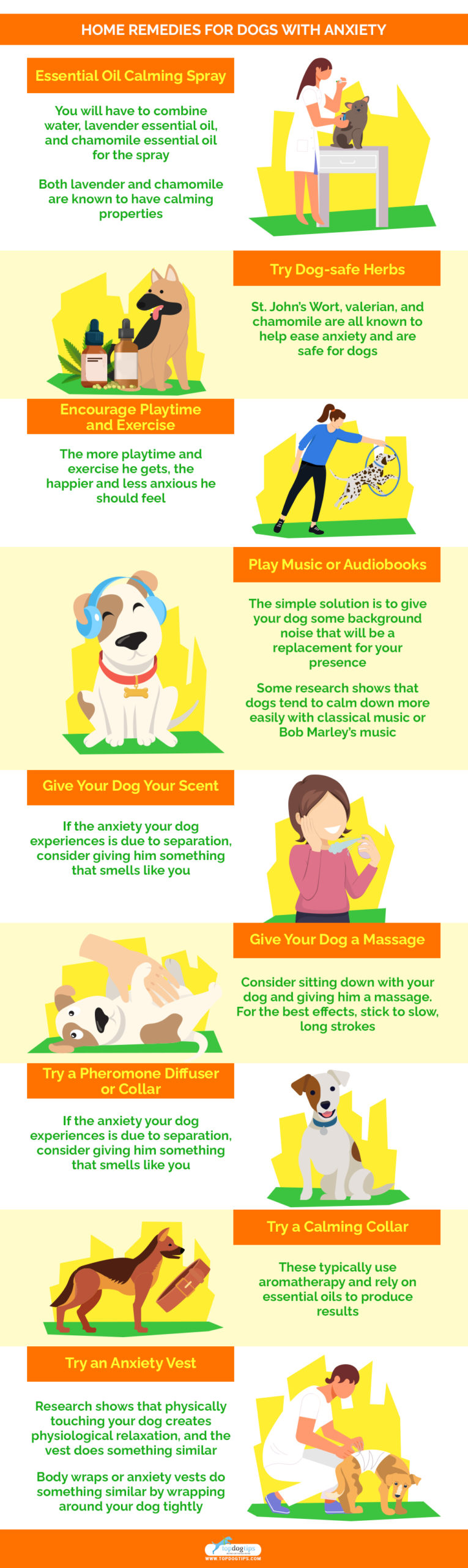 Home Remedies for Dogs with Anxiety