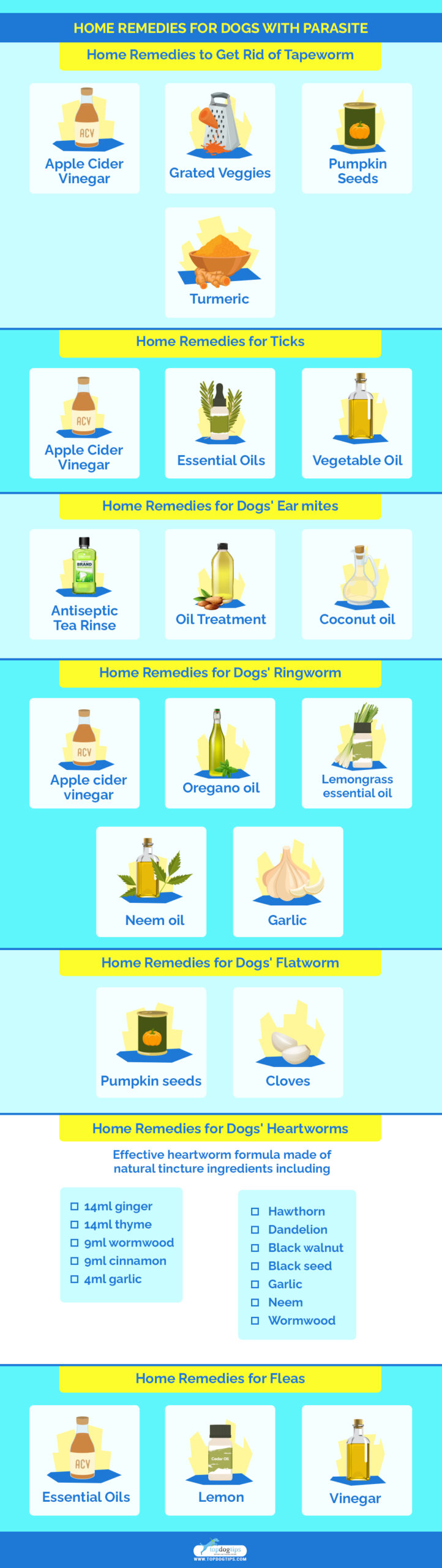 Home Remedies for Dogs with Parasite