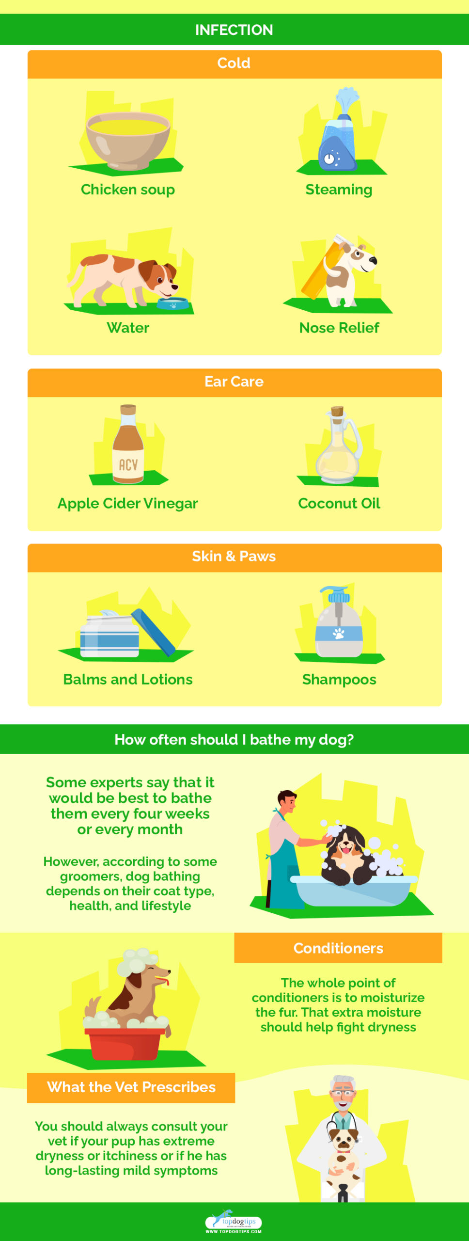 home remedies for dog Infection