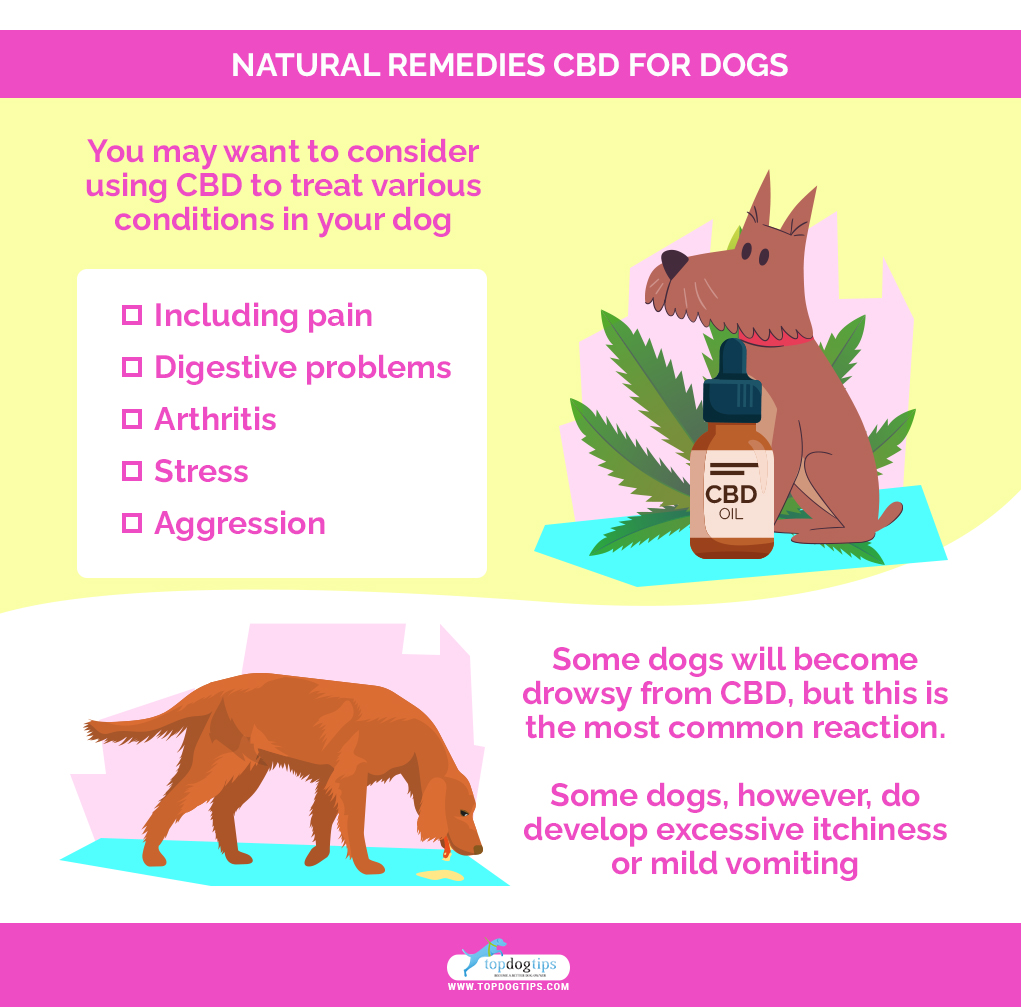 Natural Remedies CBD for Dogs