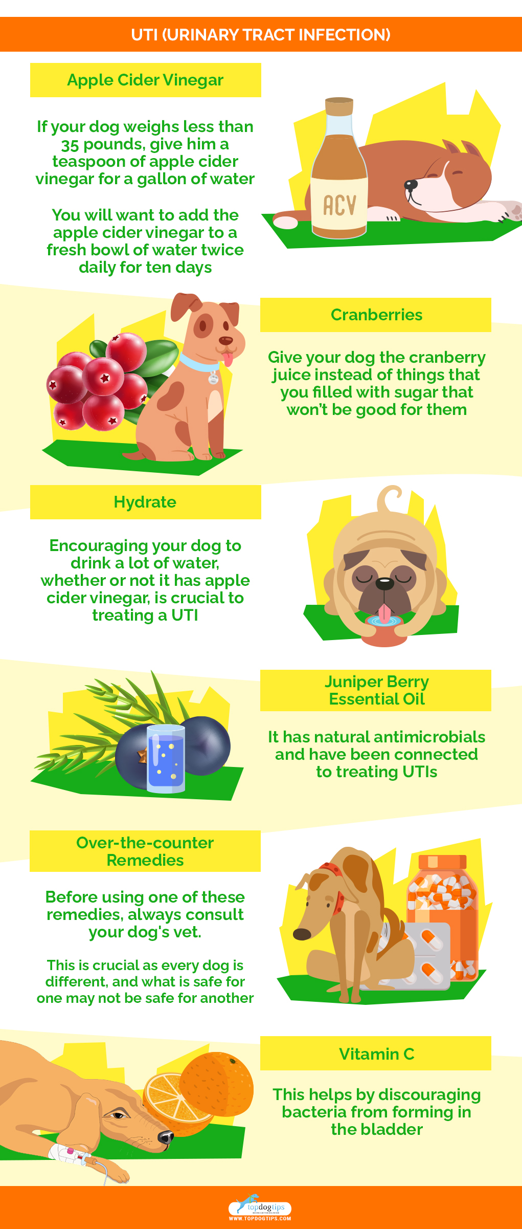 home remedies for dog Urinary Tract Infection