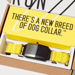 fi collar gps dog tracking collar